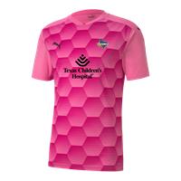 Puma TeamFinal 21 GK Jersey - Pink 