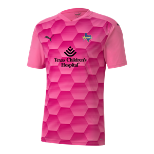 Puma TeamFinal 21 GK Jersey - Pink  Image