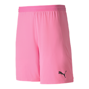 Puma TeamFinal 21 GK Shorts - Pink Image
