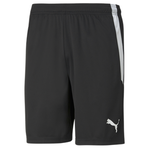 Puma Shorts - Black Image